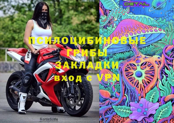 гидра Медногорск