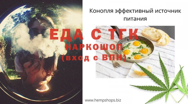 гидра Медногорск